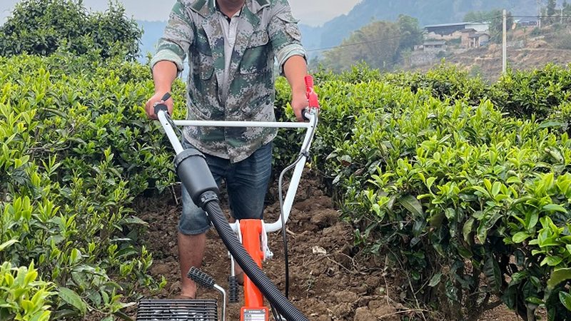 饲料机械生产线标准规范：构建高效生产基石**