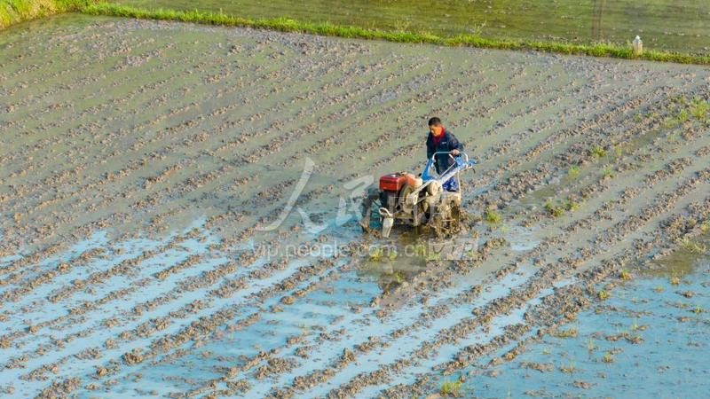 小型颗粒饲料机使用方法：安全高效，增产无忧
